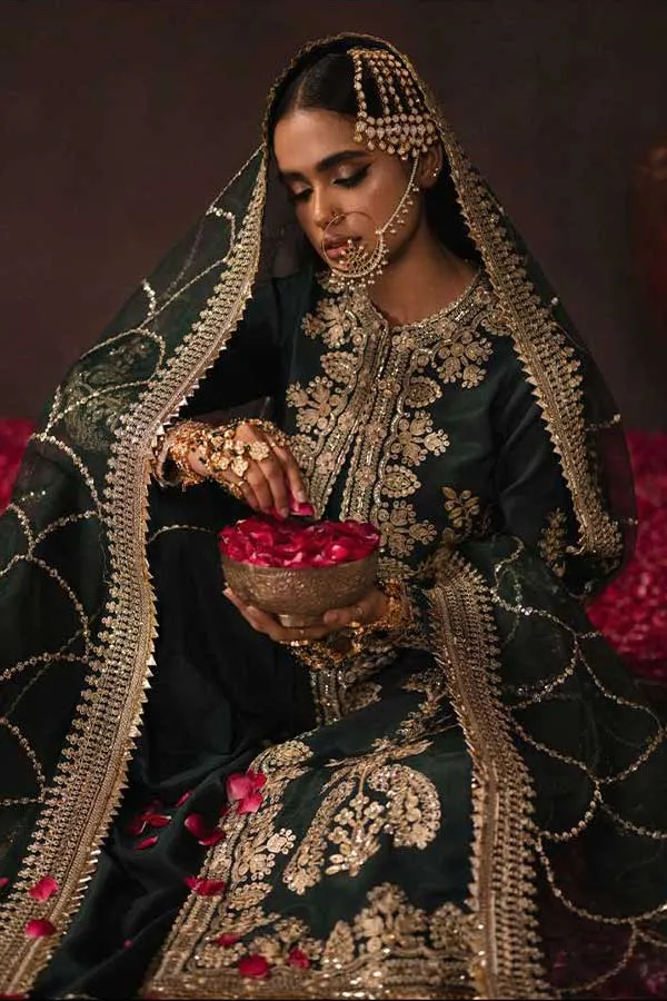 Afrozeh Divani Silk Edit'22 D#03 MIRAKA