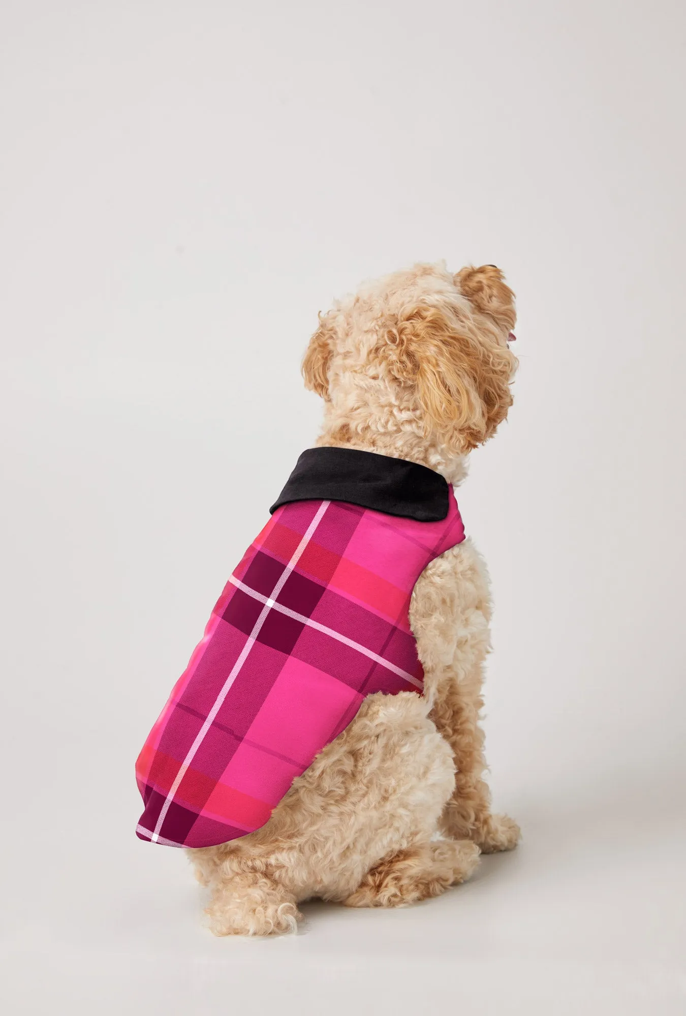 BedHead x Trina Turk Aurora Plaid Woven Portuguese Flannel Dog Pajama
