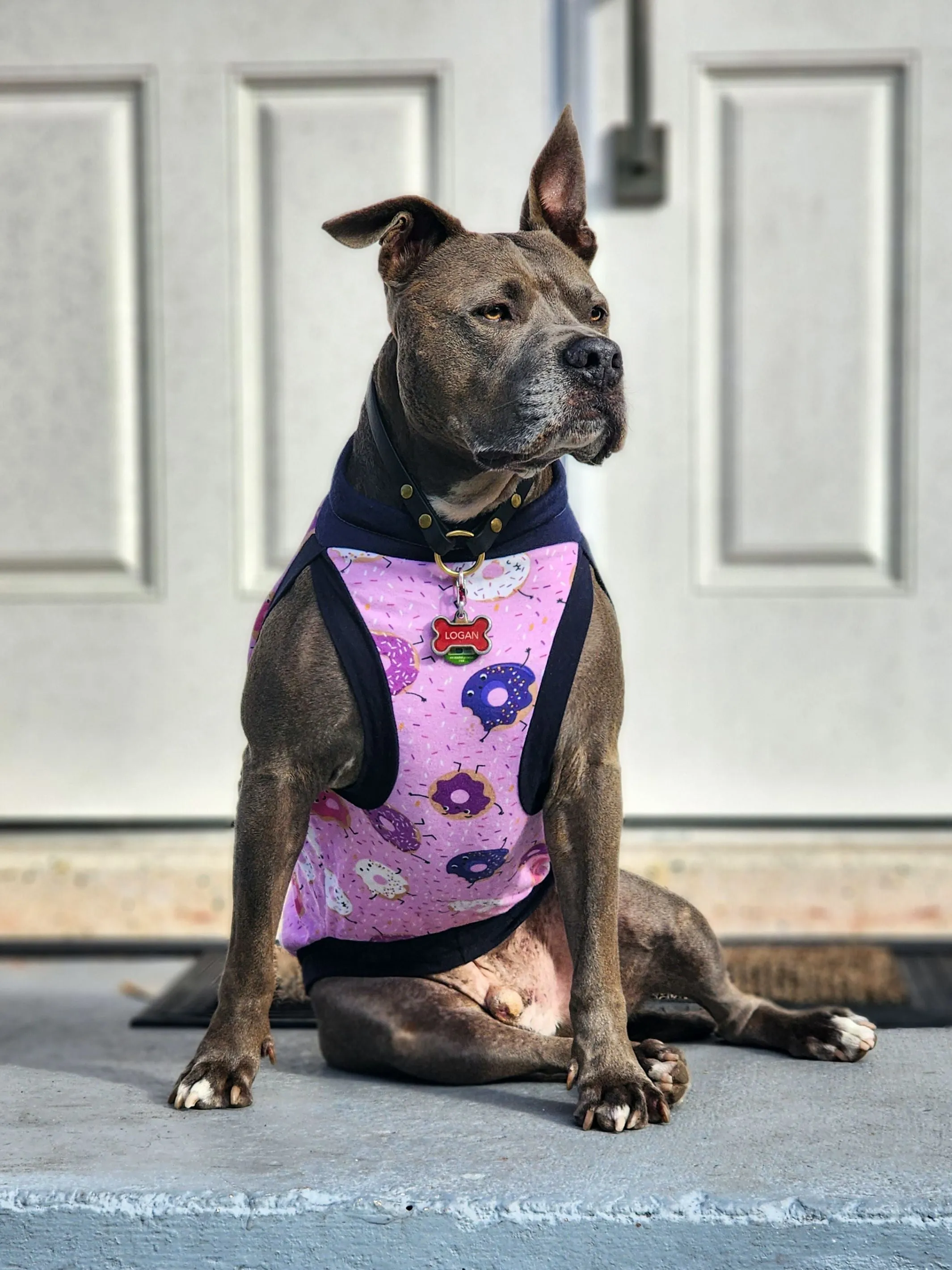 Donut You Love Me Dog Pajamas