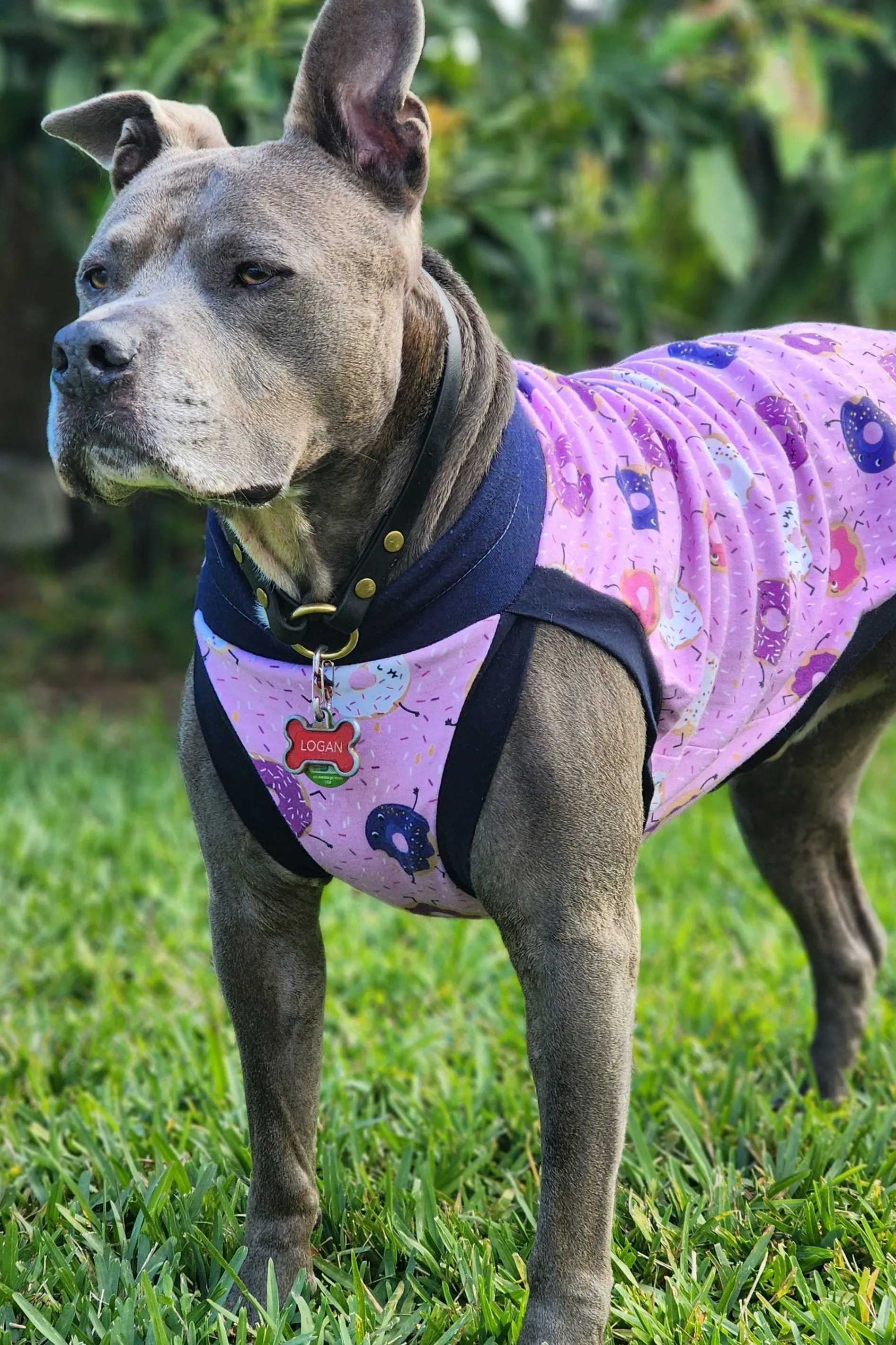 Donut You Love Me Dog Pajamas