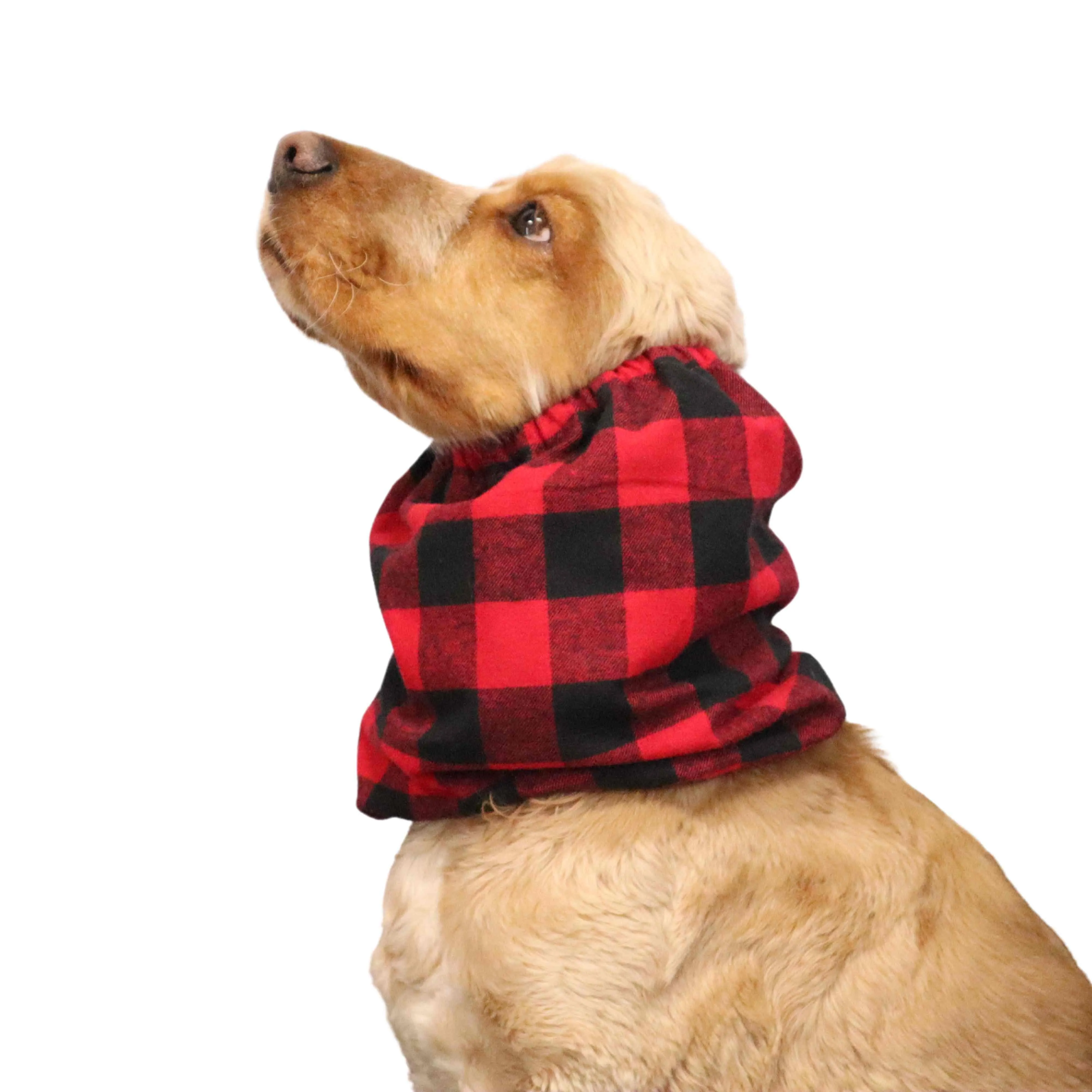 Flannel Dog Snood | Red Plaid