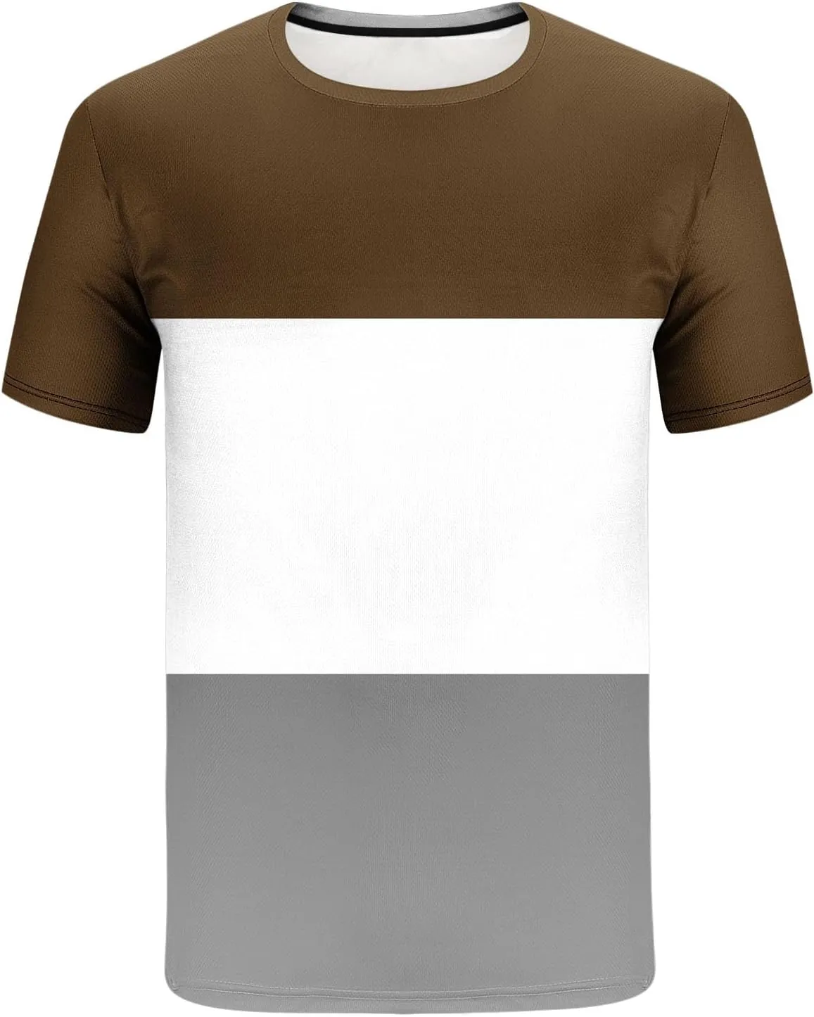Men Outfits 2 Piece Casual Colorblock Crewneck Short Sleeve Tracksuit Colorblock T Shirt & Shorts Sweatsuit Set