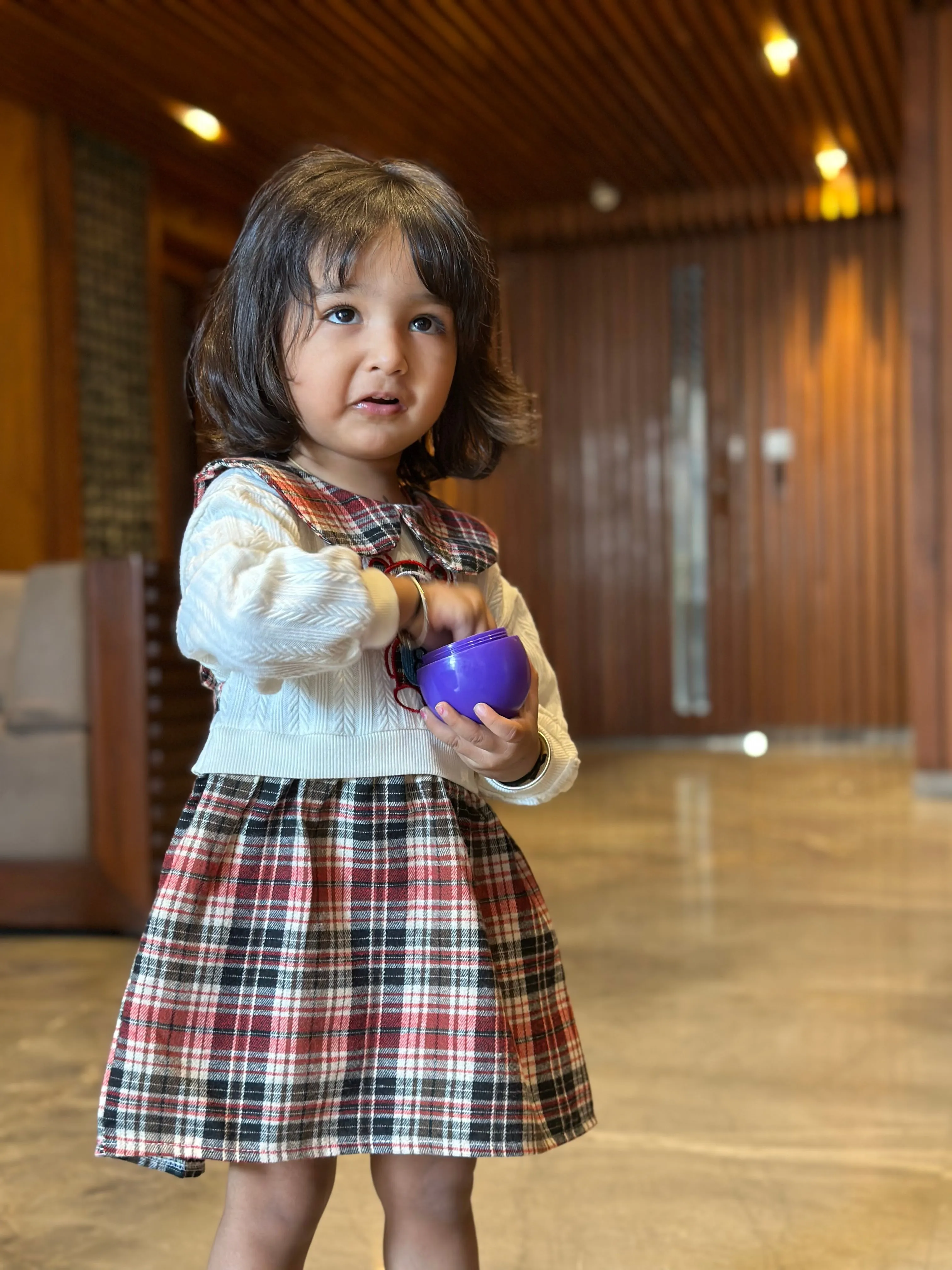 Peter Pan Plaid Dress