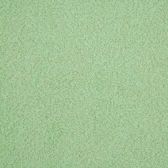 Terrycloth - Light Green